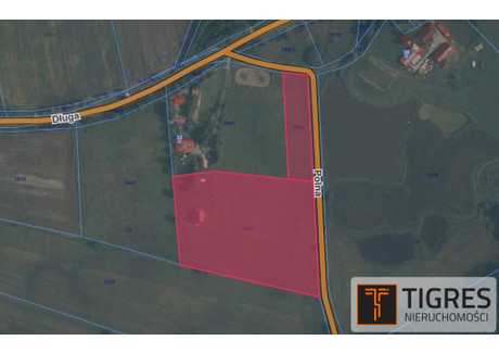 Działka na sprzedaż - Długa Borowina, Przywidz, Gdański, 19 793 m², 1 600 000 PLN, NET-259/8653/OGS