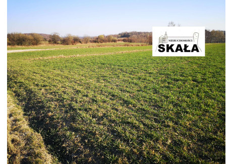 Działka na sprzedaż - Szczodrkowice, Skała, Krakowski, 5000 m², 180 000 PLN, NET-611