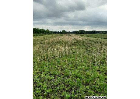 Działka na sprzedaż - Ostrowy Nad Okszą, Miedźno, Kłobucki, 8609 m², 190 000 PLN, NET-MEG-GS-8707