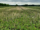 Rolny na sprzedaż - Ostrowy Nad Okszą, Miedźno, Kłobucki, 8609 m², 200 000 PLN, NET-MEG-GS-8707