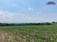 Rolny na sprzedaż - Zamarski, Hażlach, Cieszyński, 15 000 m², 825 000 PLN, NET-PEU-GS-6664