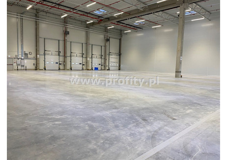 Magazyn do wynajęcia - Zabrze, Zabrze M., 1600 m², 35 200 PLN, NET-PRO-HW-12541