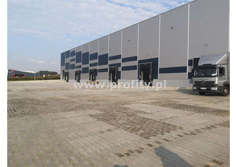 Magazyn do wynajęcia - Siemianowice Śląskie, Siemianowice Śląskie M., 695 m², 17 375 PLN, NET-PRO-HW-12439