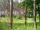 Leśne na sprzedaż - Józefów, Otwocki, 1739 m², 880 000 PLN, NET-G-89185-12