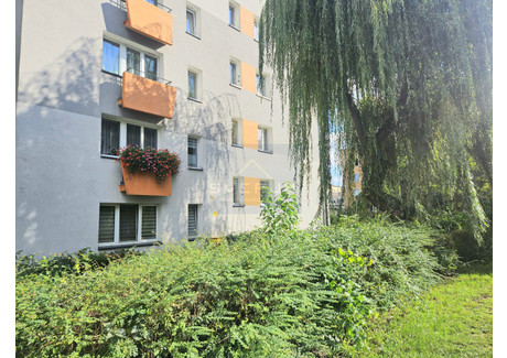 Mieszkanie na sprzedaż - Ostatni Grosz, Częstochowa, 36,7 m², 179 000 PLN, NET-CZE-868589