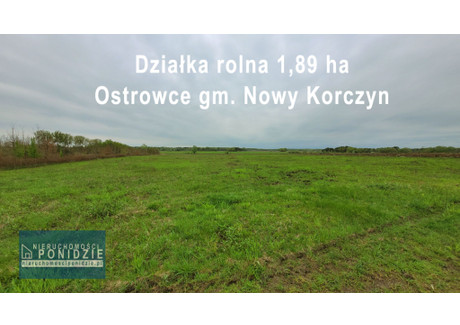 Działka na sprzedaż - Ostrowce, Nowy Korczyn (Gm.), Buski (Pow.), 18 900 m², 80 000 PLN, NET-28