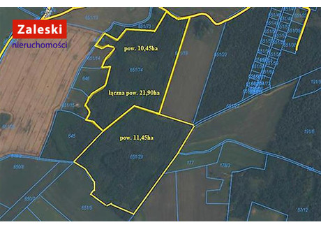 Działka na sprzedaż - Szczodrowo, Skarszewy, Starogardzki, 219 023 m², 1 500 000 PLN, NET-ZA016490