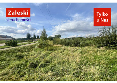 Działka na sprzedaż - Grodziska Chmielno, Kartuski, 29 253 m², 8 775 900 PLN, NET-ZA016634