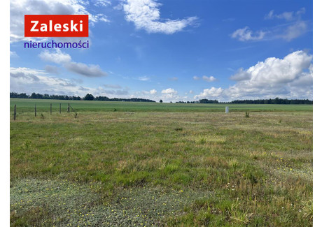 Działka na sprzedaż - Żuromino, Stężyca, Kartuski, 1005 m², 129 000 PLN, NET-ZA016547