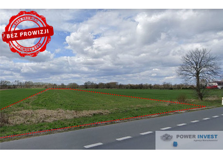 Działka na sprzedaż - Pyrzyce, Pyrzycki, 4899 m², 140 000 PLN, NET-319/7649/OGS