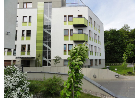 Mieszkanie do wynajęcia - Błażeja Naramowice, Poznań, 52 m², 2300 PLN, NET-55744-3