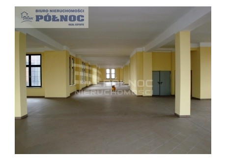 Biuro do wynajęcia - Piotra Niedurnego Nowy Bytom, Ruda Śląska, 550 m², 11 000 PLN, NET-143/3877/OLW