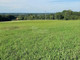 Rolny na sprzedaż - Iłownica, Jasienica, Bielski, 18 372 m², 499 000 PLN, NET-44454/3877/OGS