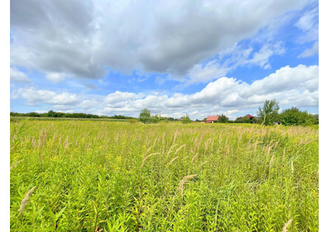 Działka na sprzedaż - Zawilcowa Bielawa, Długołęka, Wrocławski, 13 026 m², 1 900 000 PLN, NET-43691/3877/OGS