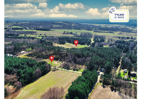 Działka na sprzedaż - Przybynów, Żarki, Myszkowski, 904 m², 85 900 PLN, NET-44419/3877/OGS