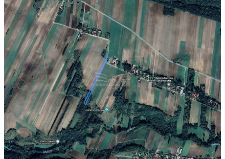 Działka na sprzedaż - Imbramowice, Trzyciąż, Olkuski, 7500 m², 145 000 PLN, NET-41799/3877/OGS