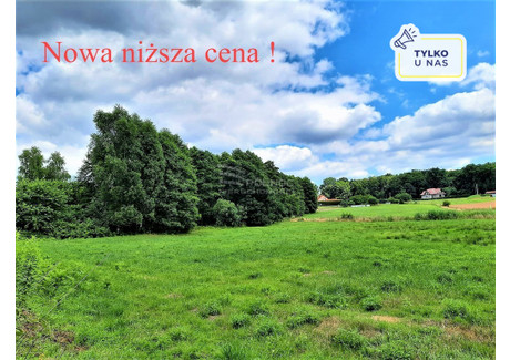 Działka na sprzedaż - Skrzyszów, Godów, Wodzisławski, 5045 m², 99 000 PLN, NET-40782/3877/OGS