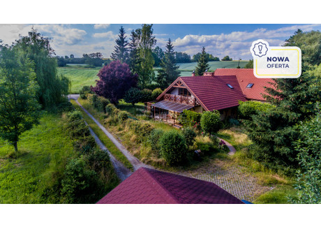 Dom na sprzedaż - Stary Wielisław, Kłodzko, Kłodzki, 300 m², 1 950 000 PLN, NET-41116/3877/ODS