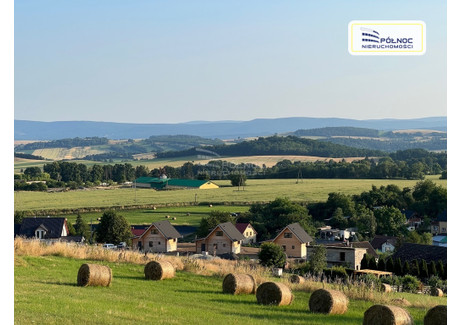 Działka na sprzedaż - Bożków, Nowa Ruda, Kłodzki, 10 600 m², 300 000 PLN, NET-45264/3877/OGS