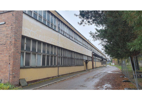 Fabryka, zakład do wynajęcia - Łabędy, Gliwice, 1000 m², 14 000 PLN, NET-68590941