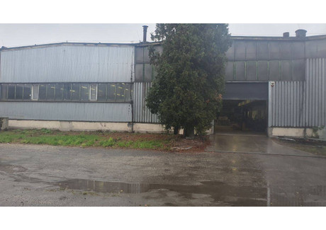 Fabryka, zakład do wynajęcia - Łabędy, Gliwice, 500 m², 9000 PLN, NET-68570941