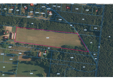 Działka na sprzedaż - Akacjowa Ciężków, Aleksandrów Łódzki, Zgierski, 29 838 m², 2 200 000 PLN, NET-83/10680/OGS