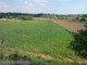 Rolny na sprzedaż - Tonie, Prądnik Biały, Kraków, Kraków M., 8369 m², 2 100 000 PLN, NET-PAC-GS-2528-4