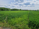 Rolny na sprzedaż - Sieciechowice, Iwanowice, Krakowski, 10 300 m², 265 000 PLN, NET-PAC-GS-7249-1