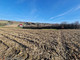Rolny na sprzedaż - Garliczka, Zielonki, Krakowski, 2333 m², 598 000 PLN, NET-PAC-GS-7077-1