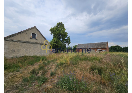 Działka na sprzedaż - Gierłachowo, Krzywiń, 7837 m², 275 000 PLN, NET-725815