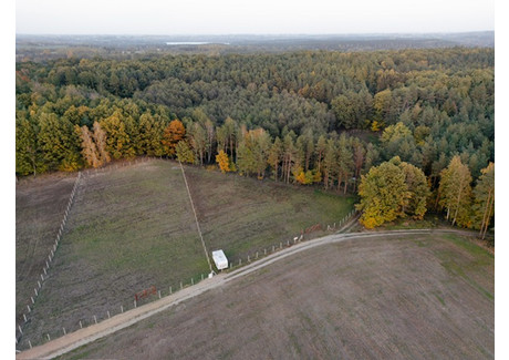 Działka na sprzedaż - Huta-Chojno, Rogowo (Gm.), Rypiński (Pow.), 8200 m², 250 000 PLN, NET-1100