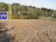 Rolny na sprzedaż - Maszków, Iwanowice, Krakowski, 5700 m², 595 000 PLN, NET-32183