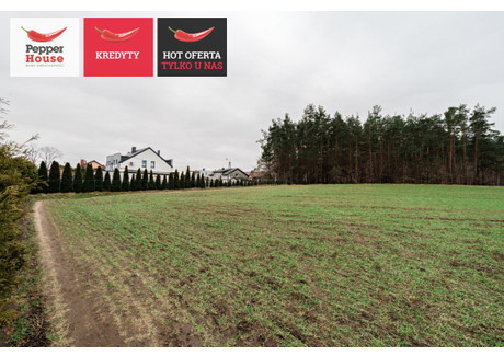 Działka na sprzedaż - Kębłowo, Luzino, Wejherowski, 764 m², 280 000 PLN, NET-PH575933