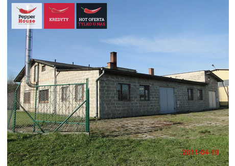 Hala na sprzedaż - Feliksa Rogaczewskiego Wejherowo, Wejherowski, 836,15 m², 1 950 000 PLN, NET-PH861995