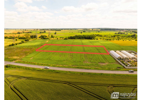 Działka na sprzedaż - Pyrzyce, Pyrzycki, 6170 m², 99 000 PLN, NET-5881/MKN/DZS-277938