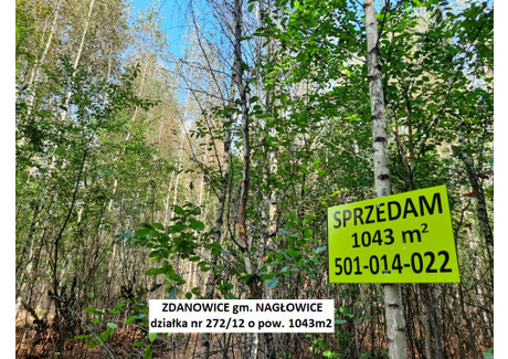 Działka na sprzedaż - Zdanowice, Nagłowice (Gm.), Jędrzejowski (Pow.), 1043 m², 48 900 PLN, NET-Zda_1043