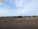Rolny na sprzedaż - Podlesie, Oborniki, Obornicki, 12 000 m², 119 000 PLN, NET-WLKP306505-306505