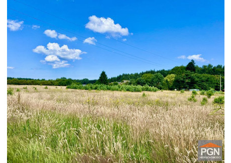 Działka na sprzedaż - Domysłów, Wolin, Kamieński, 1950 m², 269 000 PLN, NET-URG067306278-306278