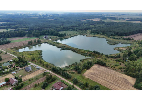 Działka na sprzedaż - Paulinowo, Nasielsk (Gm.), Nowodworski (Pow.), 138 701 m², 1 300 000 PLN, NET-260