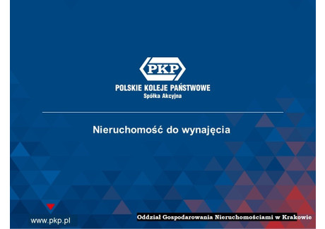 Działka do wynajęcia - Droga do Huty Tarnów, 1200 m², 600 PLN, NET-8155