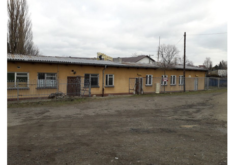 Lokal do wynajęcia - Kolejowa Jasło, Jasielski, 135 m², 1485 PLN, NET-22927