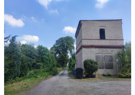 Obiekt na sprzedaż - Ziębice, Ziębice (gm.), Ząbkowicki (pow.), 89,3 m², 62 000 PLN, NET-21138611