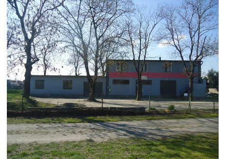 Lokal do wynajęcia - Borowska Strzelin, Strzelin (gm.), Strzeliński (pow.), 110,74 m², 1993 PLN, NET-3/8331/OOW