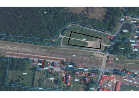 Działka do wynajęcia - Zebrzydowa, Nowogrodziec (gm.), Bolesławiecki (pow.), 2520 m², 5040 PLN, NET-43/8331/OGW