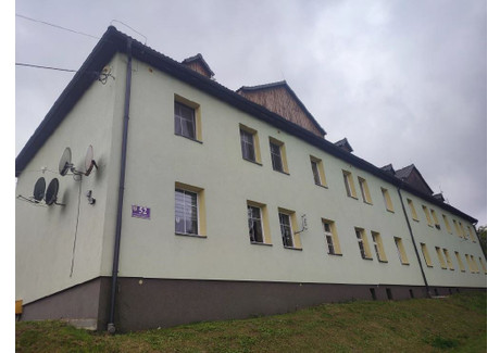 Mieszkanie na sprzedaż - Wojska Polskiego Międzylesie, Międzylesie (gm.), Kłodzki (pow.), 28,11 m², 65 000 PLN, NET-21138501