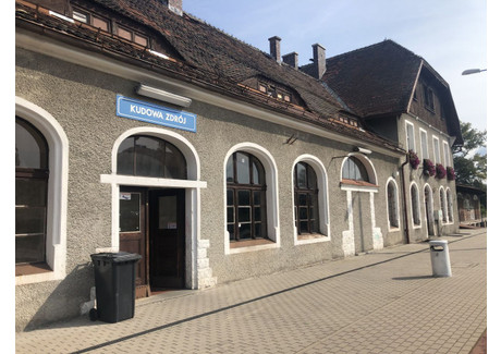 Lokal do wynajęcia - Kudowa-Zdrój, Kłodzki (pow.), 199 m², 1799 PLN, NET-144/8331/OLW