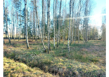 Działka na sprzedaż - Zamienie, Miński, 4500 m², 350 000 PLN, NET-G-82181-13