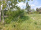 Rolny na sprzedaż - Kolonie Stanisławów, Miński, 9855 m², 255 000 PLN, NET-G-81676-13