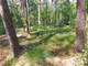 Leśne na sprzedaż - Turze, Wołomiński, 17 700 m², 120 000 PLN, NET-G-82933-13