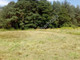 Rolny na sprzedaż - Okuniew, Miński, 238 m², 14 400 PLN, NET-G-48443-0